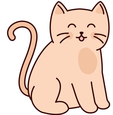 Noora kittens home UAE